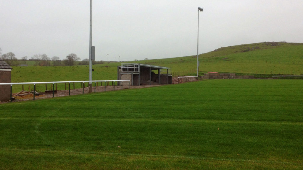 Grass Sports Turf Moorland